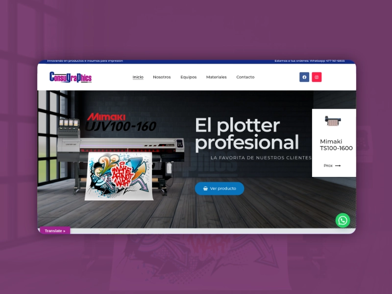 Ejemplo de página web: Inmobiliaria premium